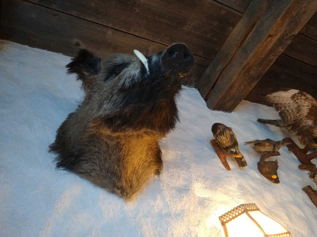 Gaestehaus Haag主图