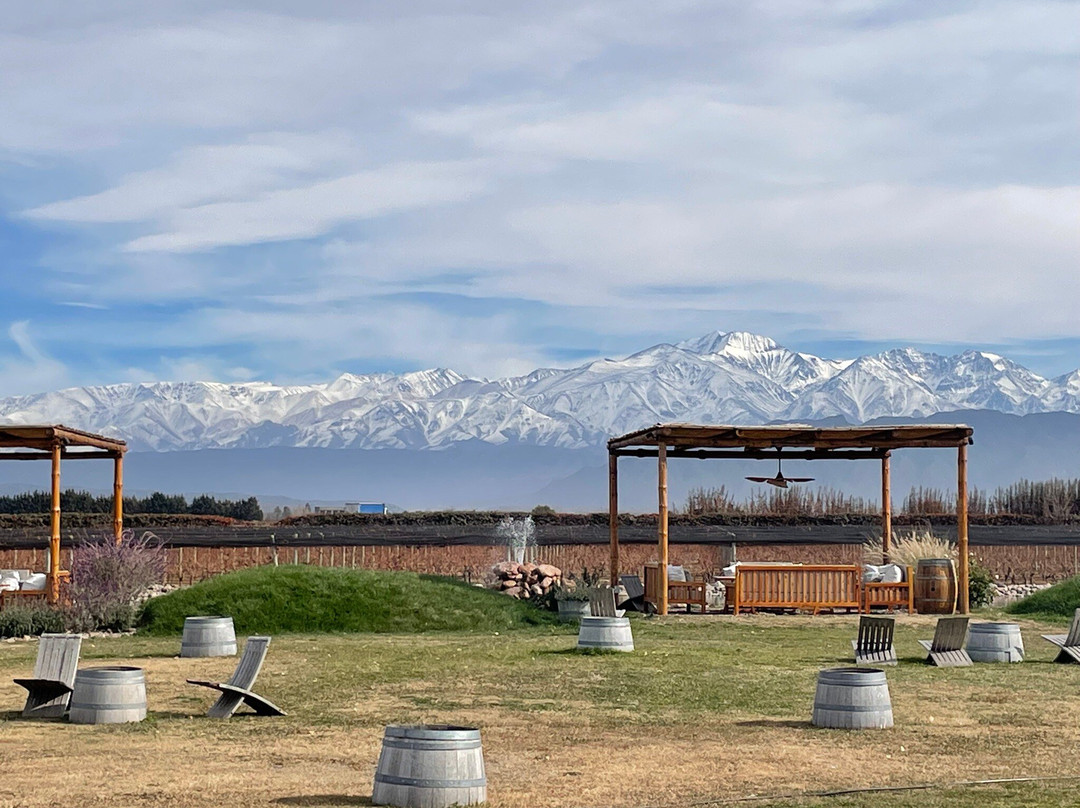 Ugarteche餐馆和美食-Bodega Sottano Restaurante