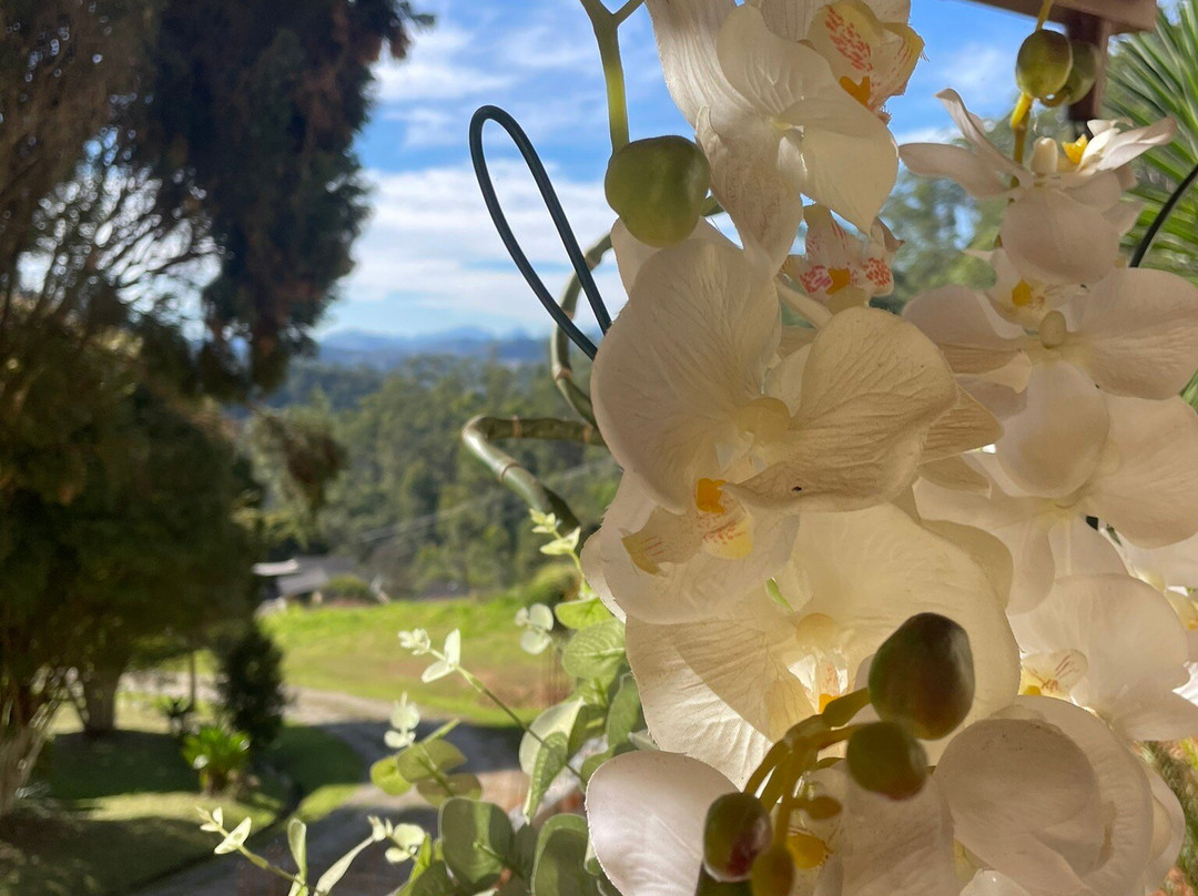 Pousada Alto do Vale主图