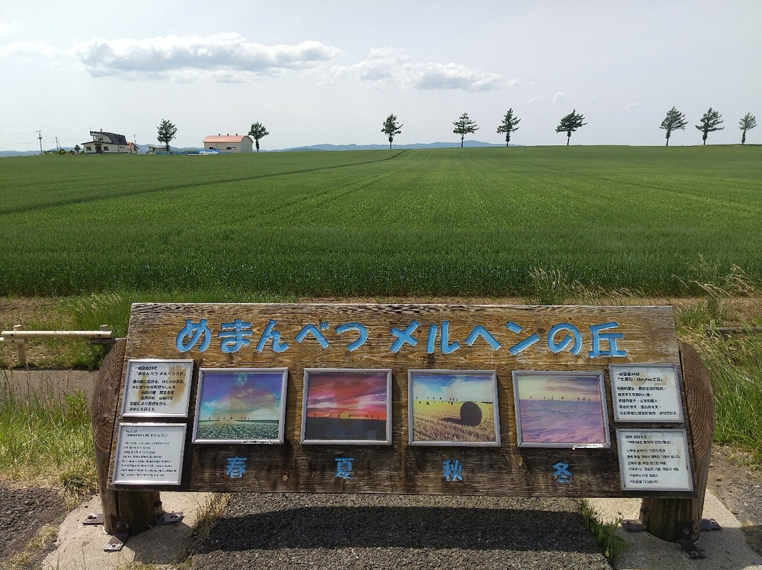 Marchen no Oka-大空町必去景点