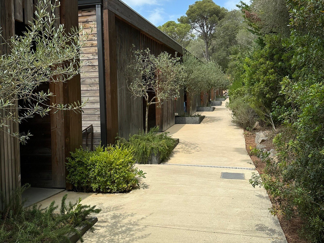 Hotel Mas Pastora - Adults Only主图