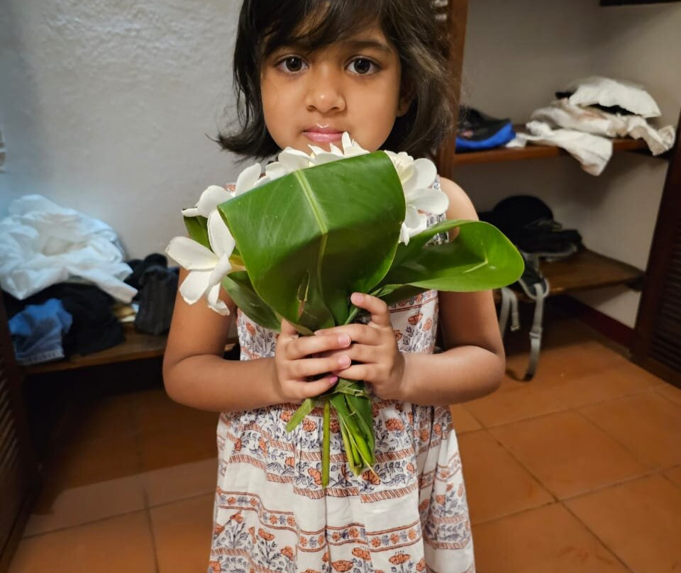 Marari Beach - CGH Earth主图