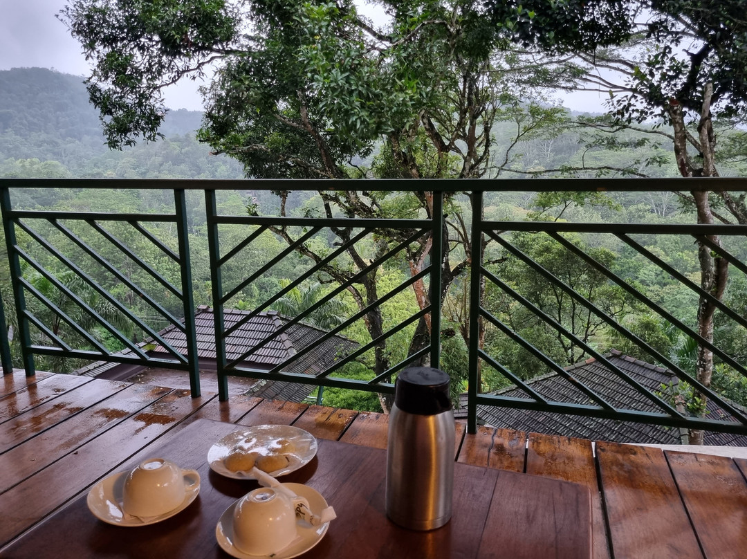 Forest Canopy Thekkady主图