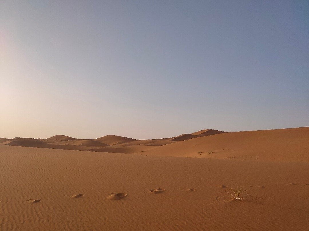 Tamlalt Tours Morocco-卡萨布兰卡必去景点