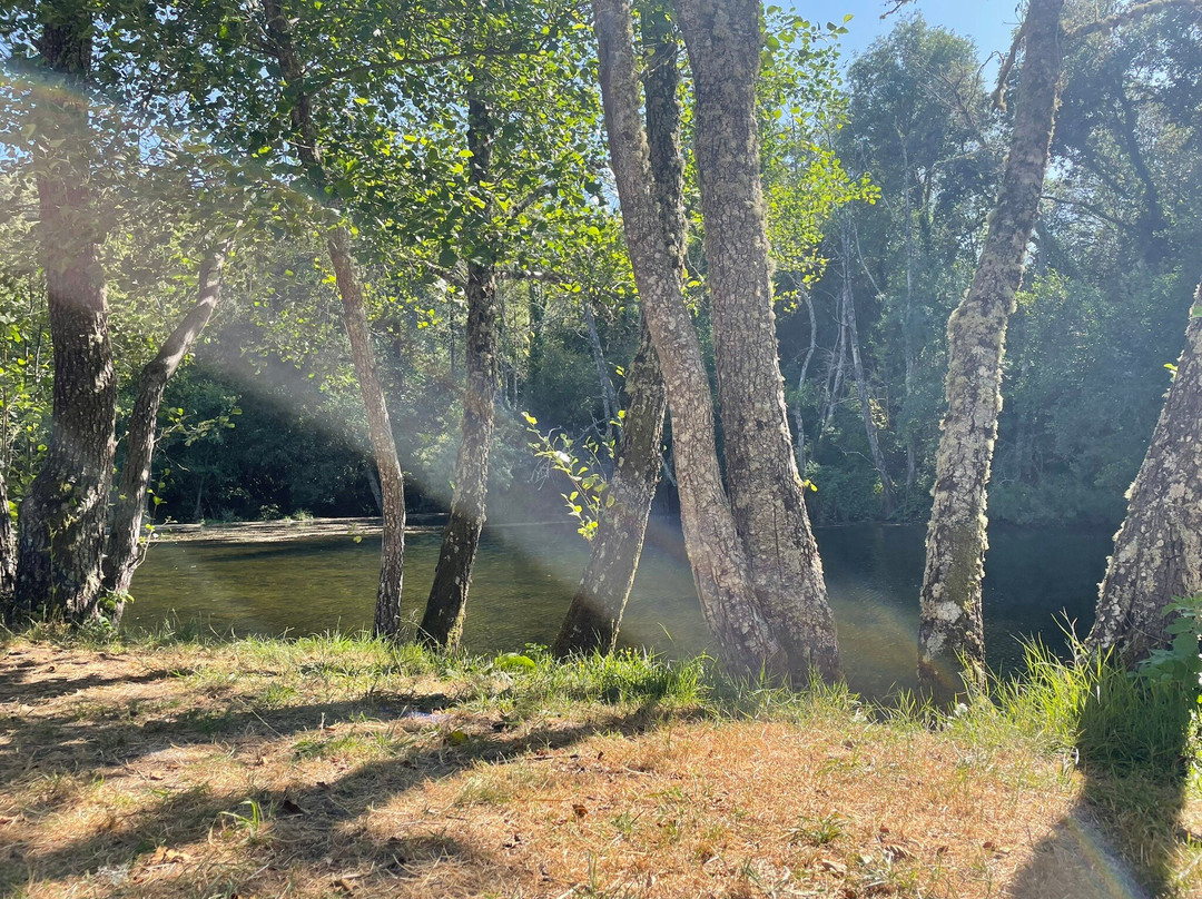 Parque Natural de Montesinho景点图片