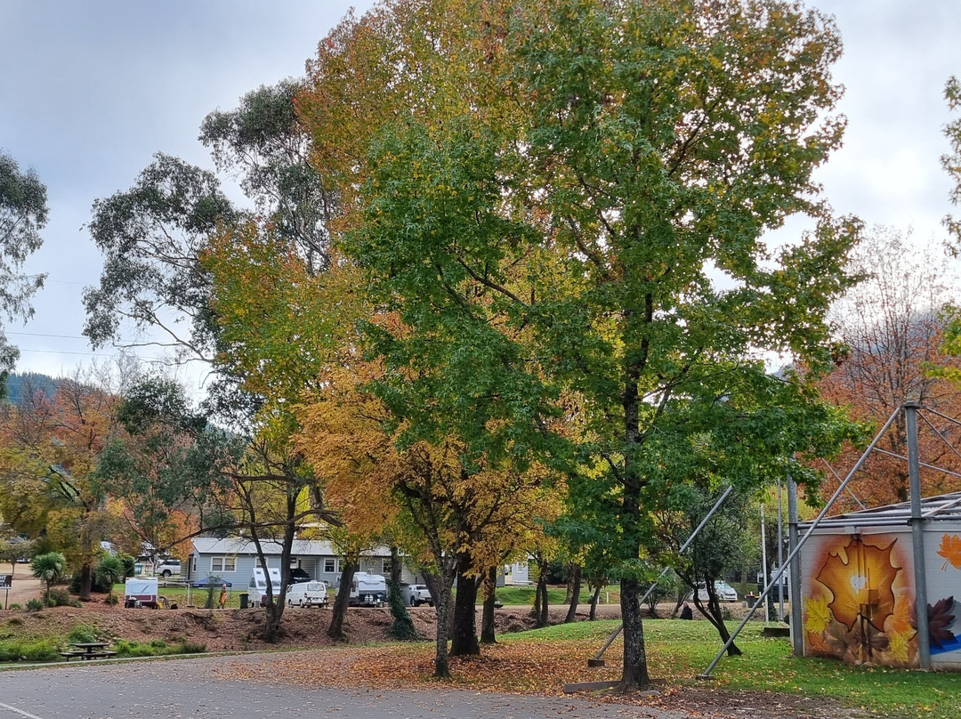Howitt Park-布赖特必去景点