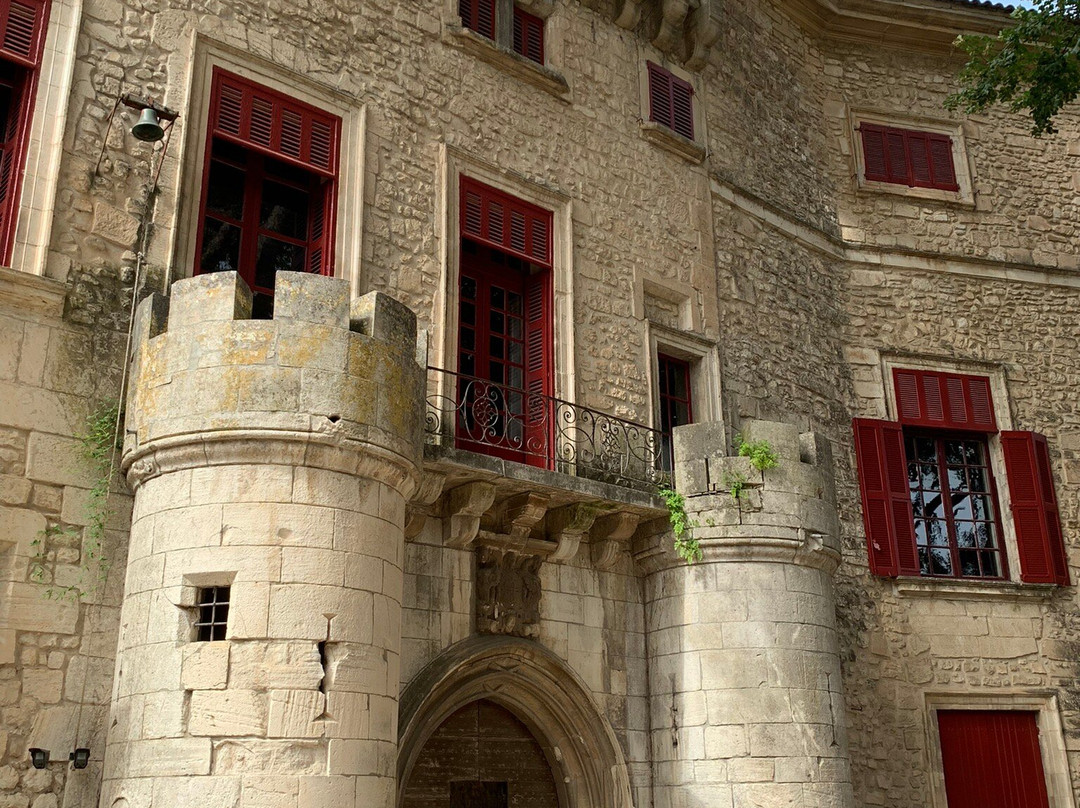 Château De Thézan景点图片