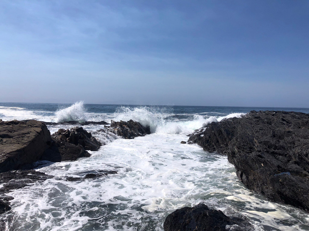 Juan de Fuca Provincial Park景点图片