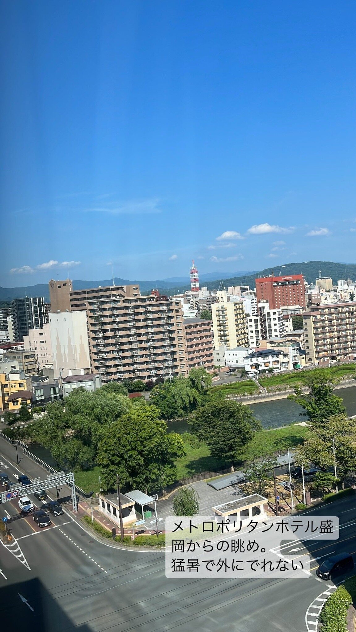 新翼盛冈大都会酒店-官方