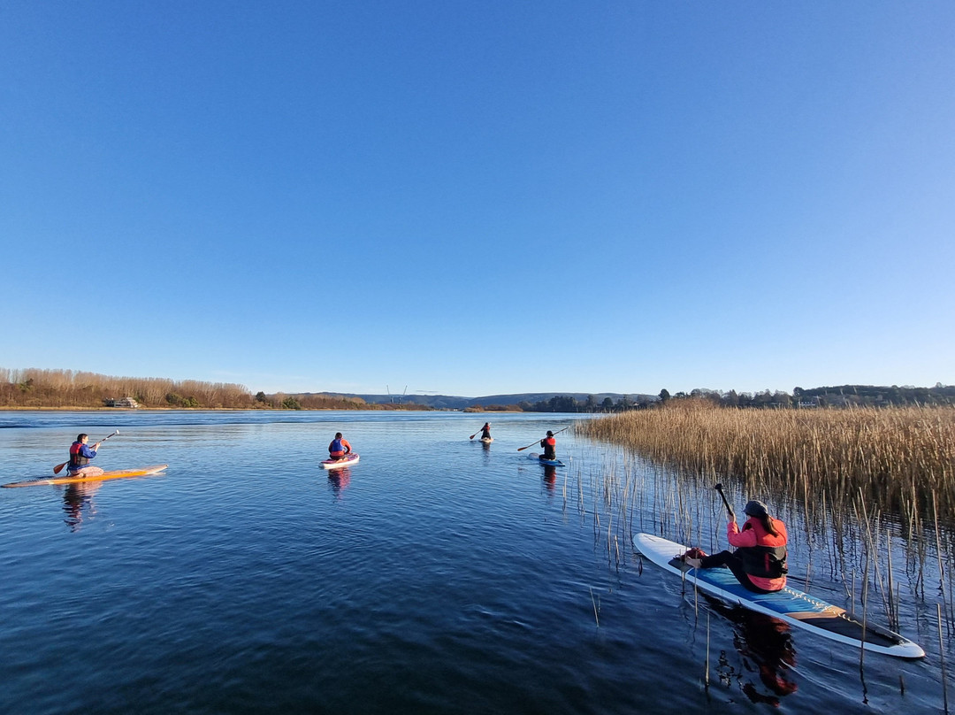 SUP Valdivia Travesías-瓦尔迪维亚必去景点