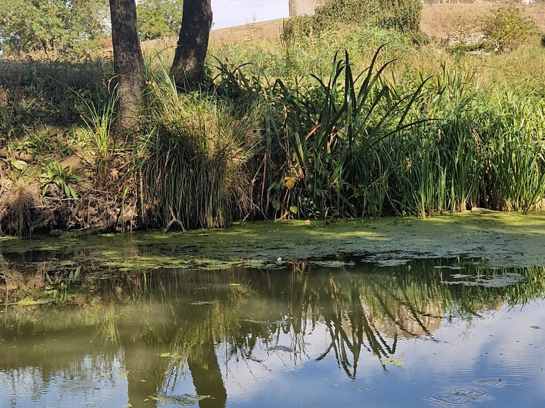 Destination Vendee Marais poitevin景点图片