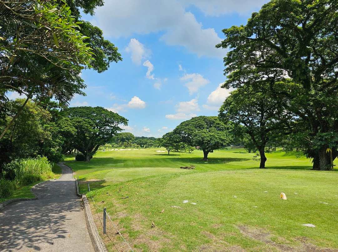 Mimosa Plus Golf Course景点图片