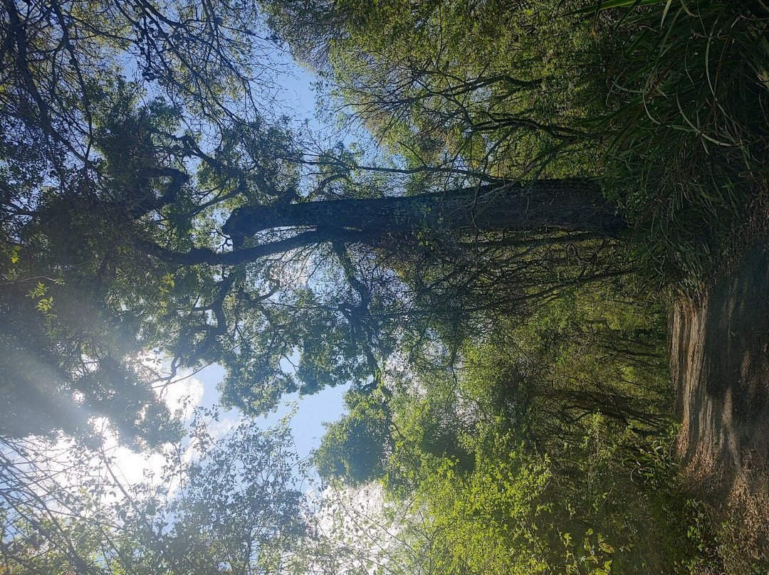 Pico dos Cabritos ecologic park-Extrema必去景点