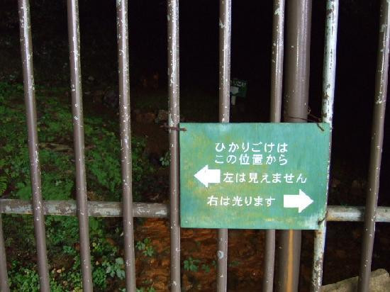 Maccaus Cave景点图片