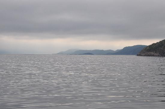 Rugged Beauty Boat Tours景点图片