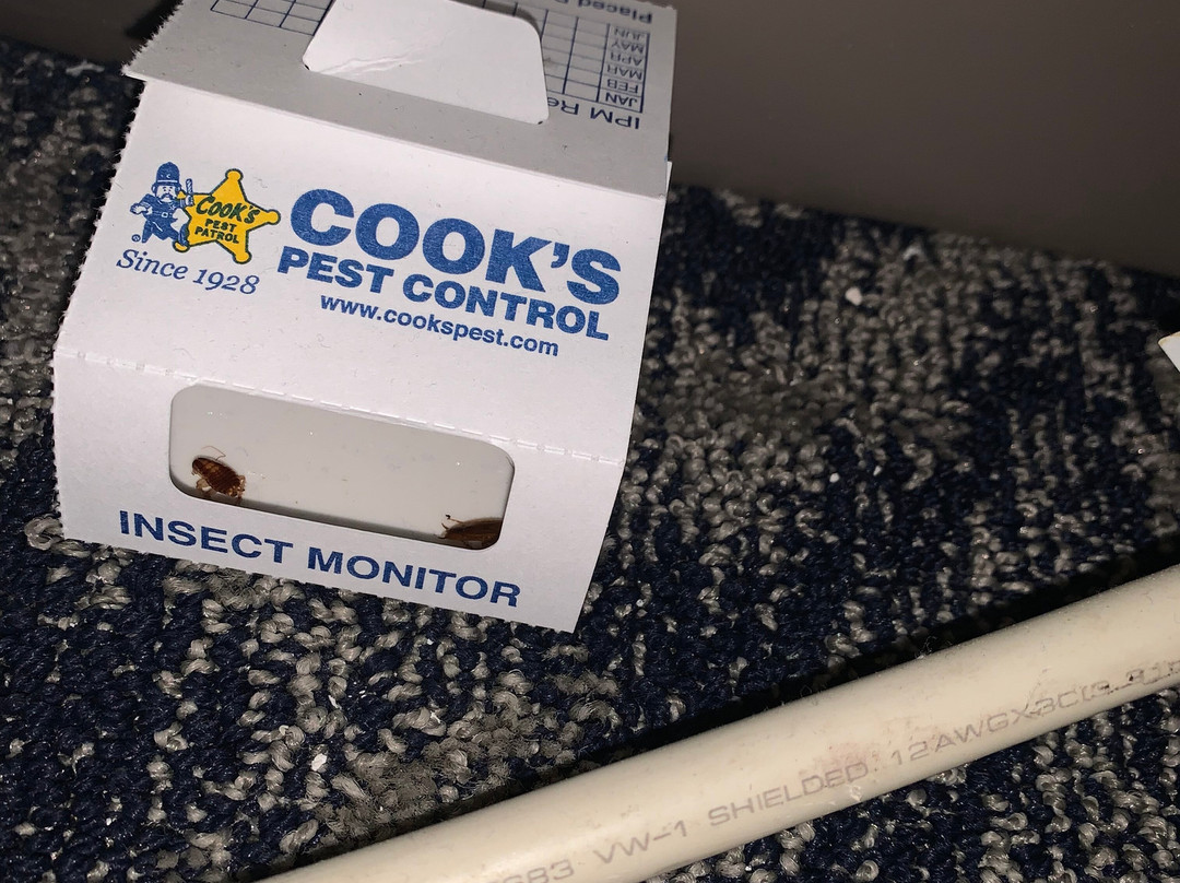 亚特兰大西20号洲际公路烛木套房酒店主图