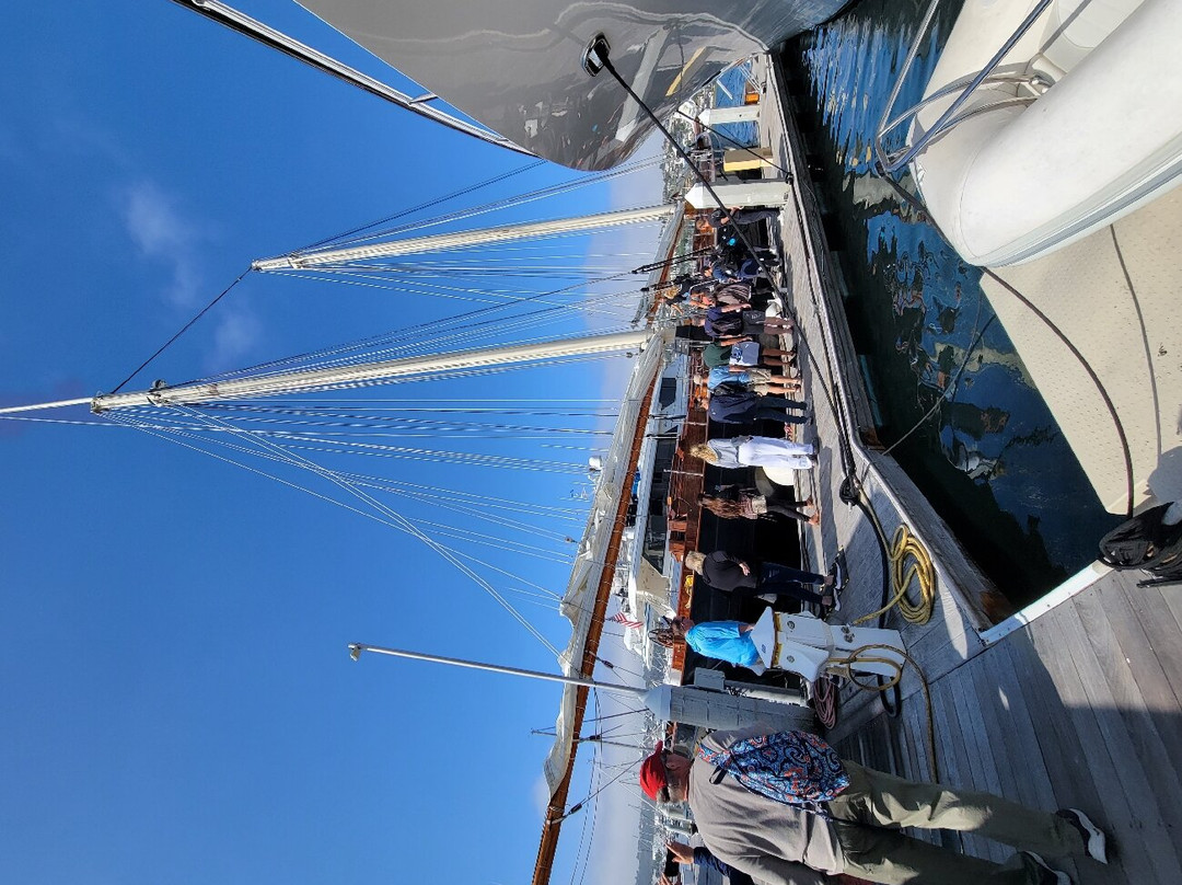 Next Level Sailing-圣地亚哥必去景点