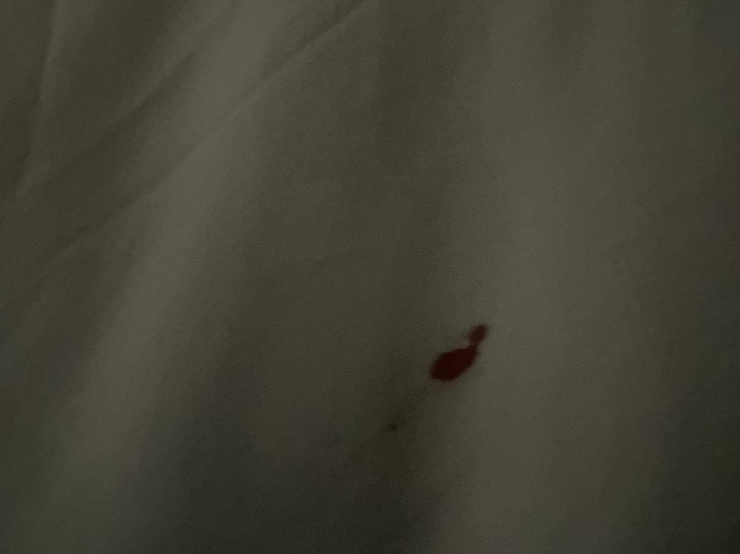 Quality Inn Clemmons I-40主图