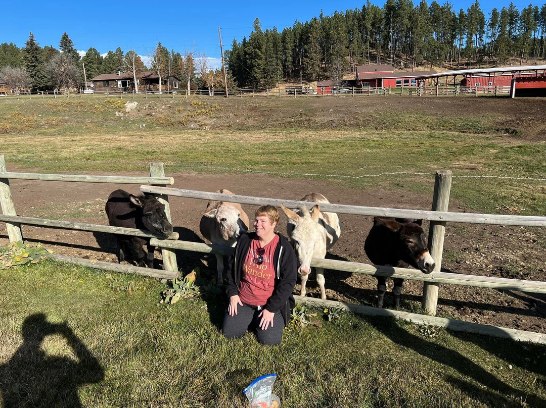 High Country Guest Ranch主图