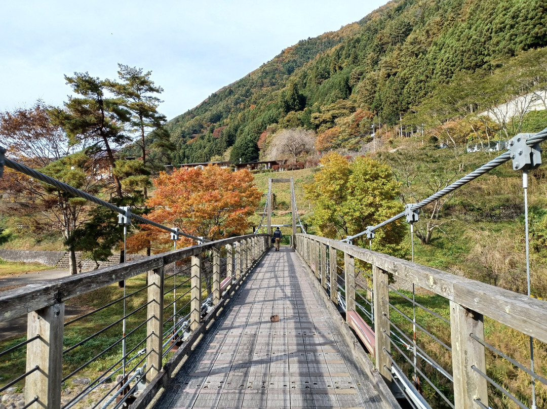 Tambayama Onsen Nomekoiyu景点图片