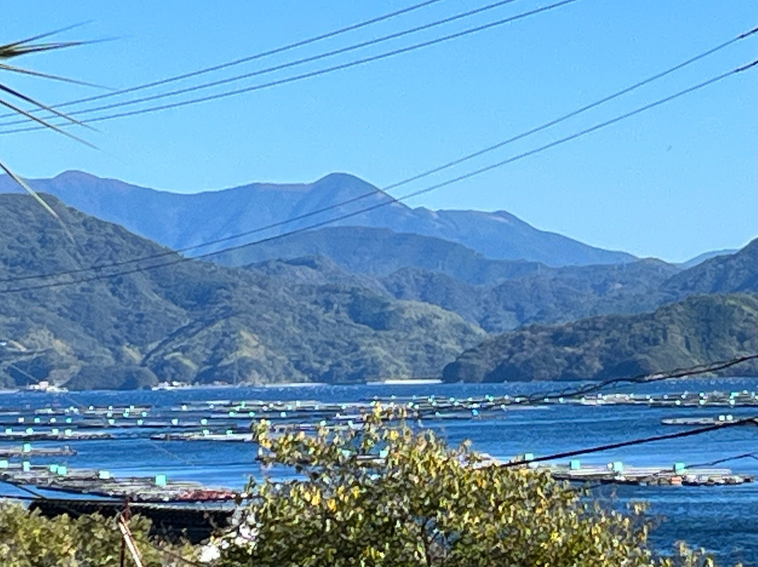 Yusumizugaura Terrace Field-宇和岛市必去景点