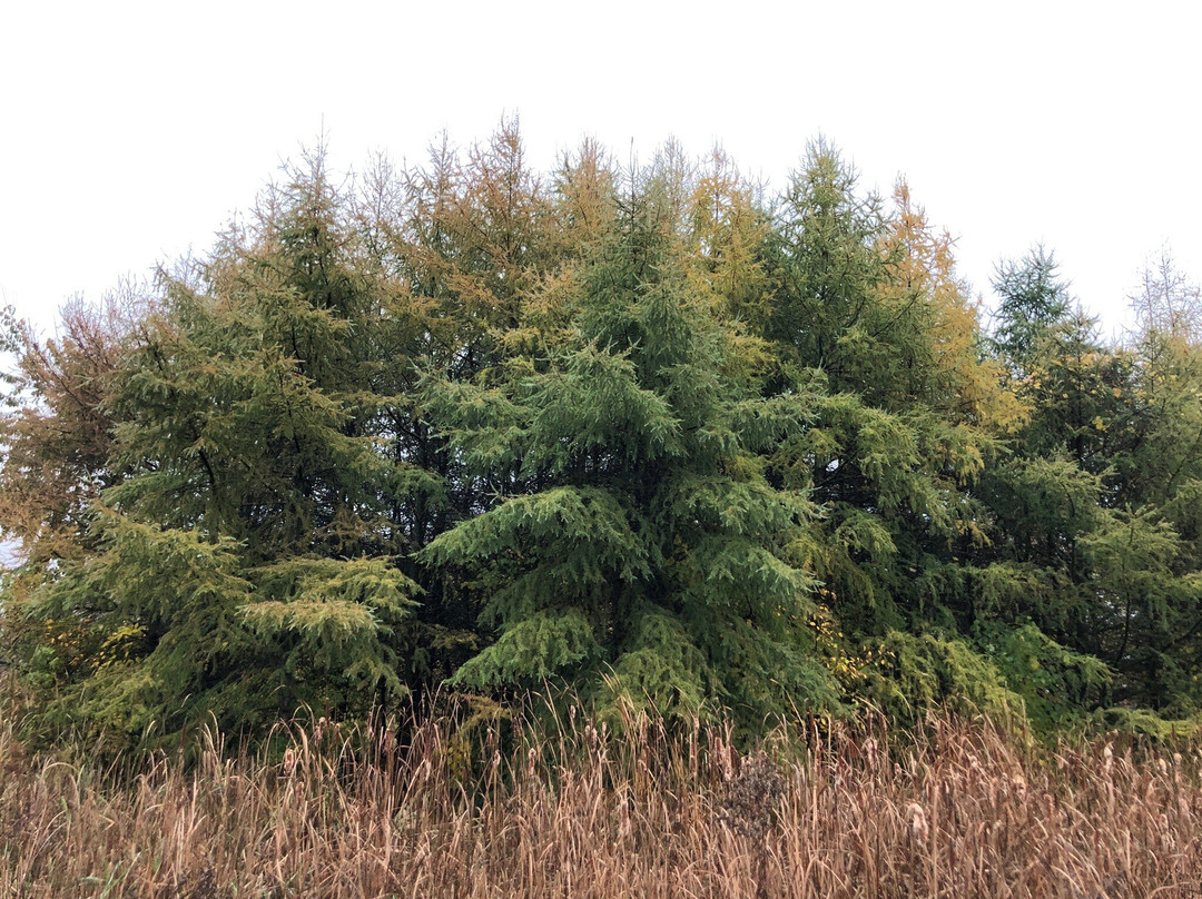 Aldo Leopold Nature Center-Monona必去景点