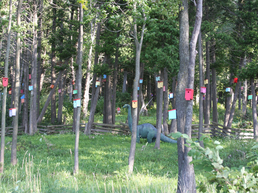 White's Beach-South Hero必去景点