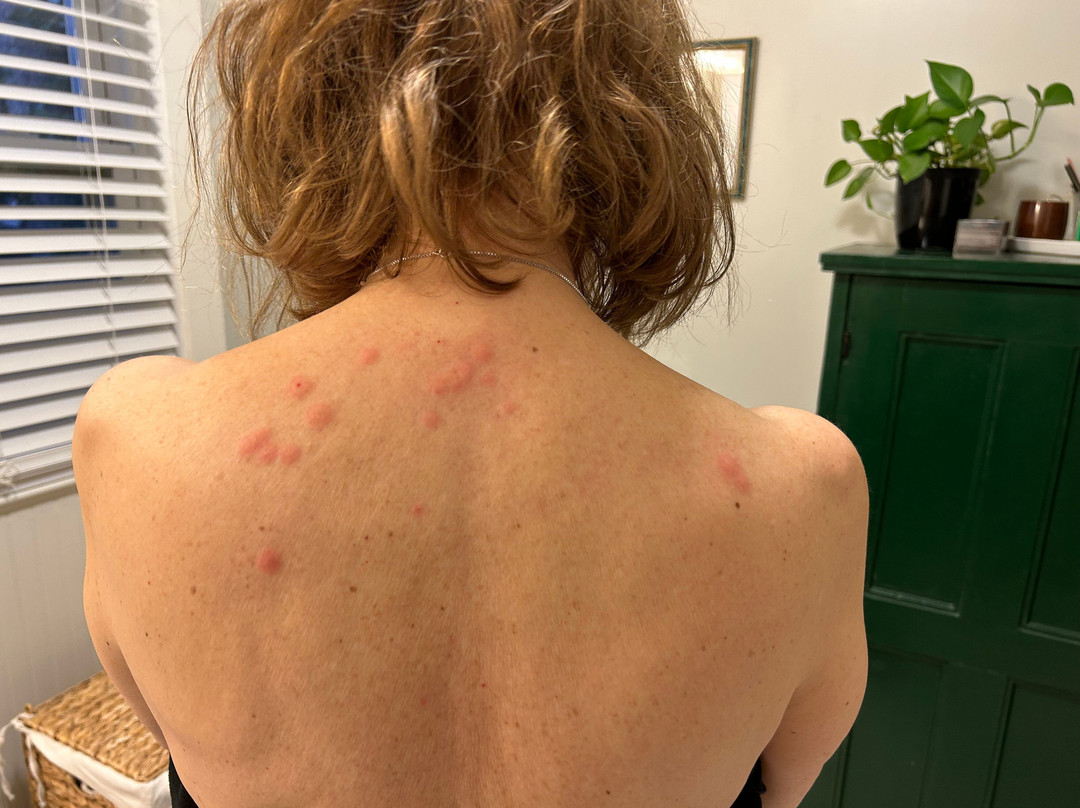 La Quinta Inn & Suites by Wyndham Springfield MA主图