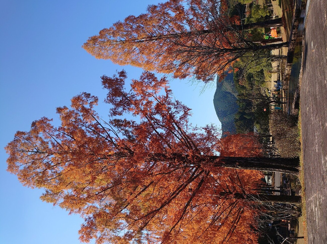 Shimanto Ryokurin Park-四万十町必去景点