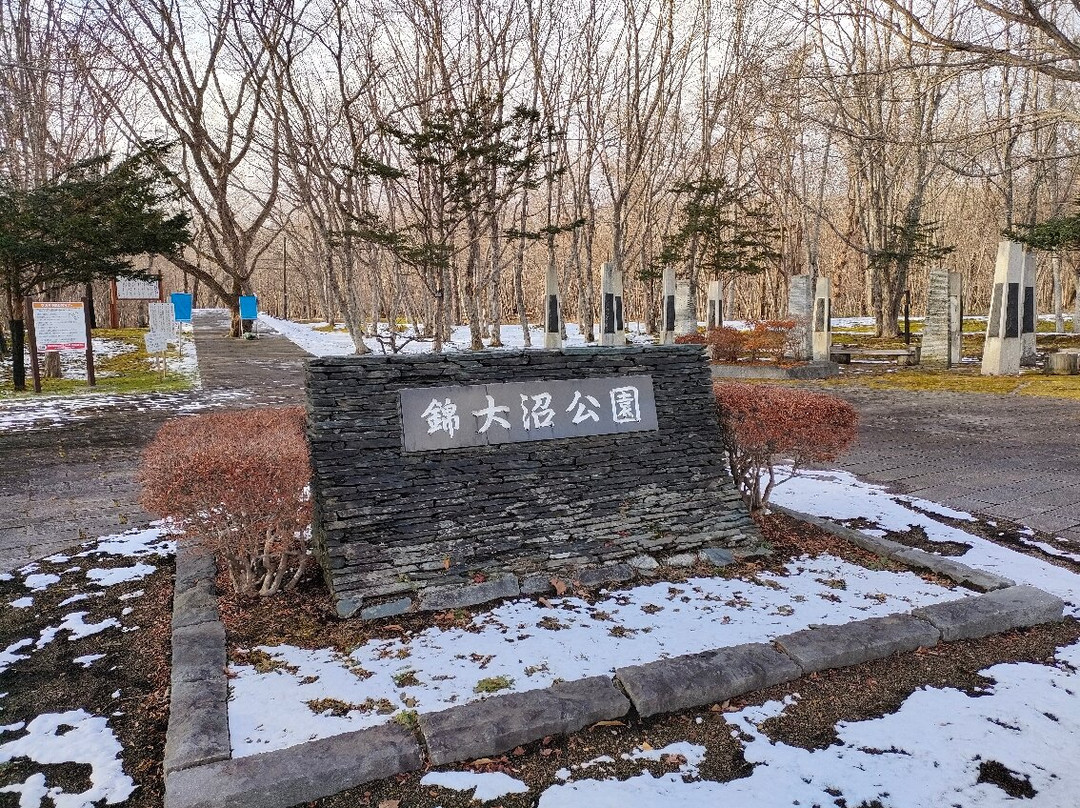 Nishiki Onuma Park景点图片