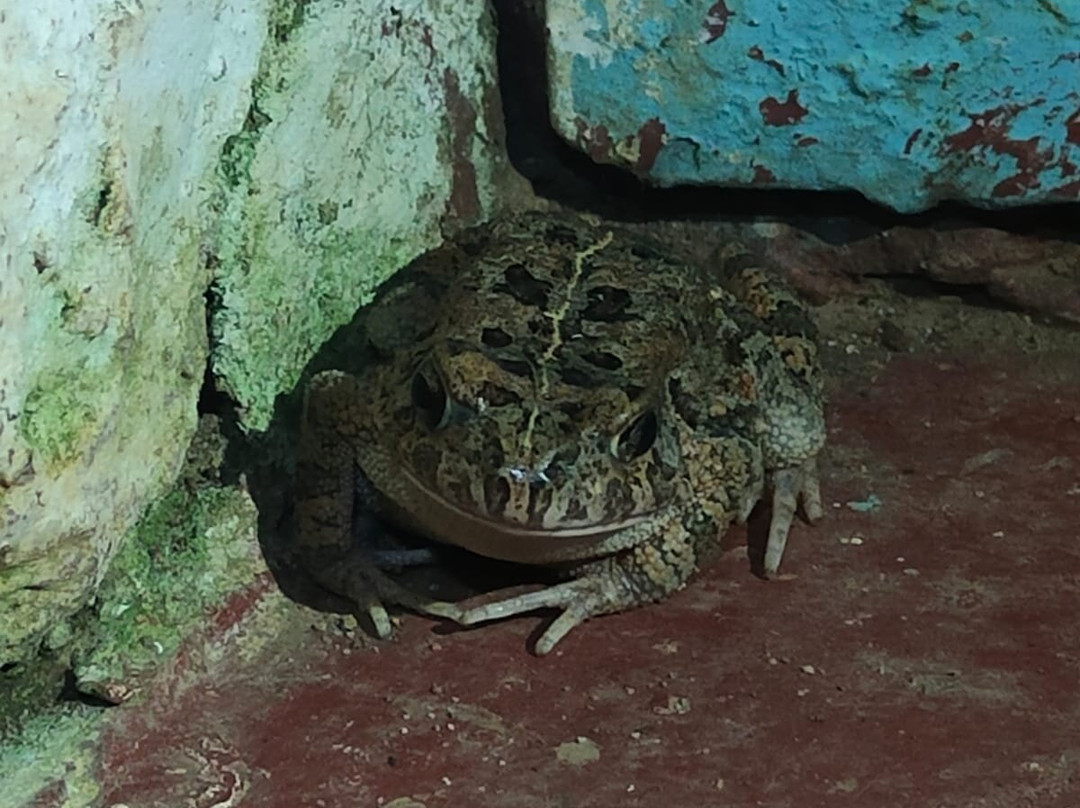 Isecheno Blue Shouldered Guest House主图