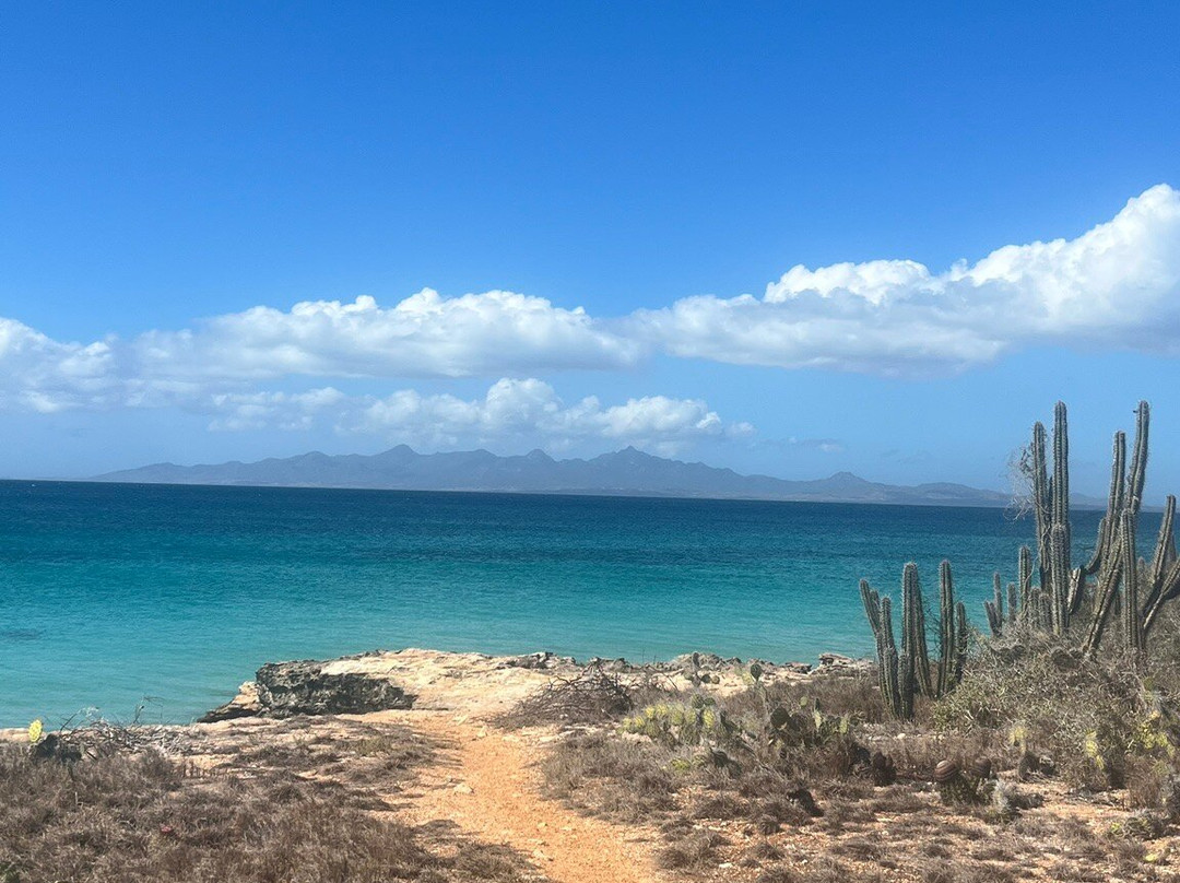 Isla Cubagua景点图片