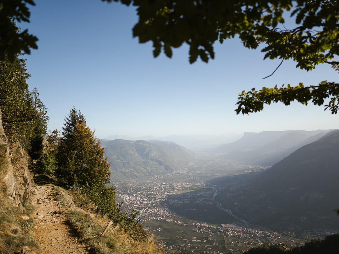 Merano High Mountain Trail景点图片