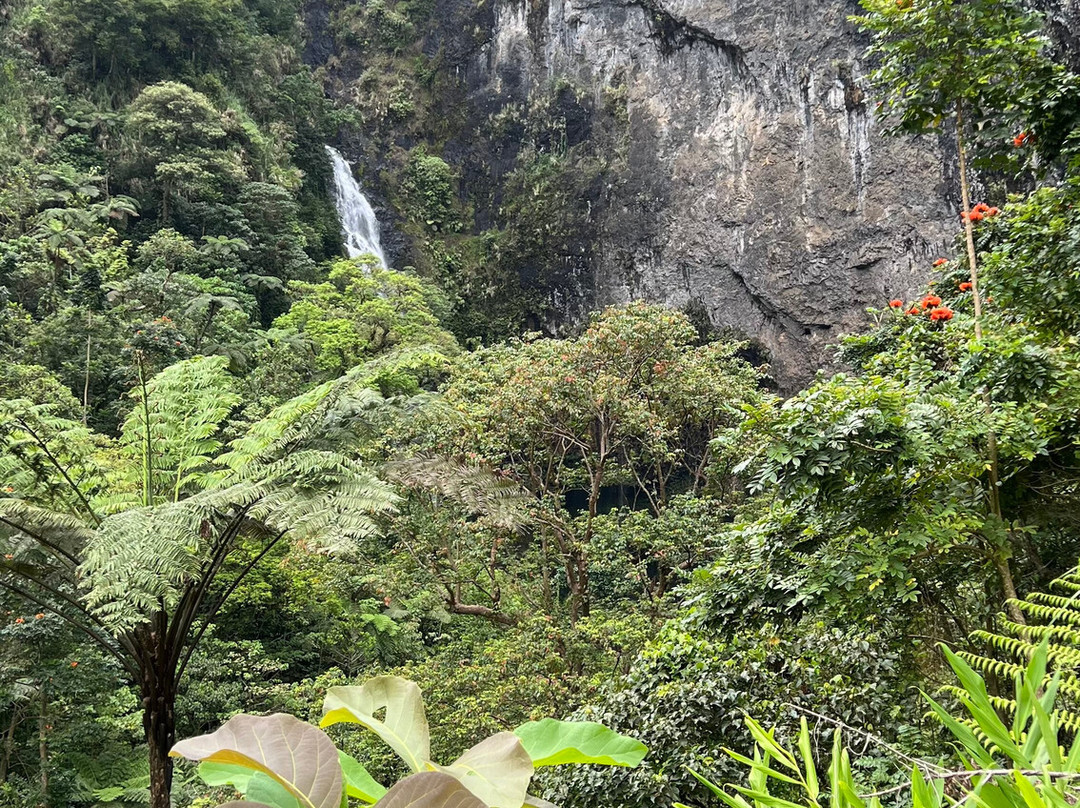 Talanoa Treks-苏瓦必去景点