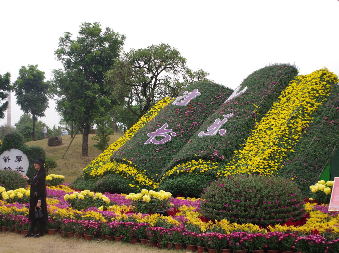 菊城金瓣景点图片