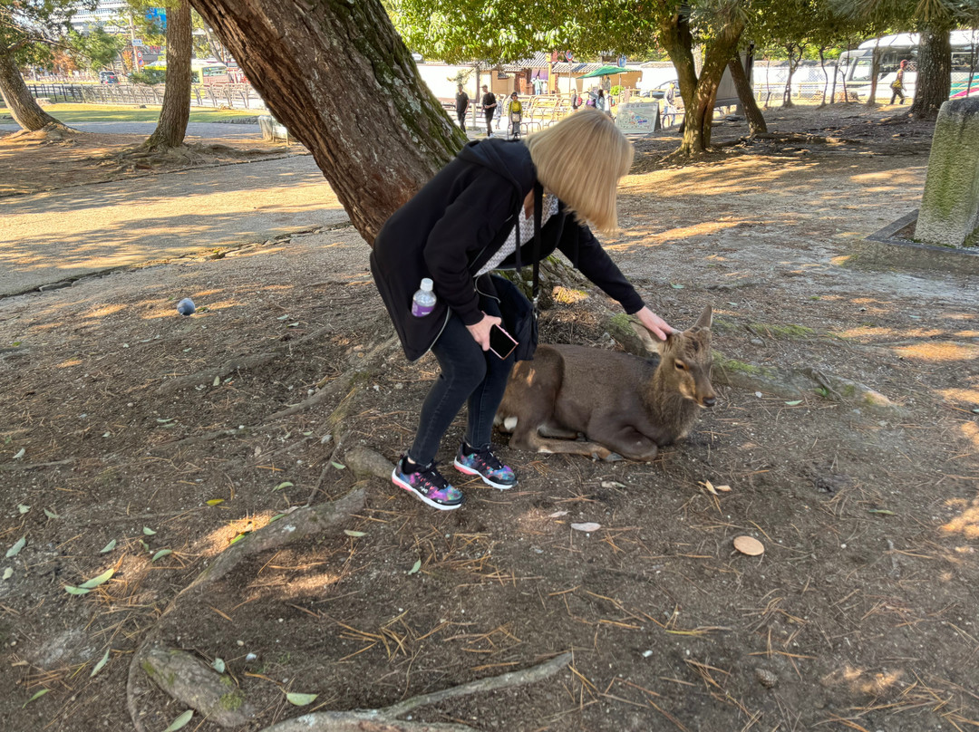 UTOvacation-多伦多必去景点