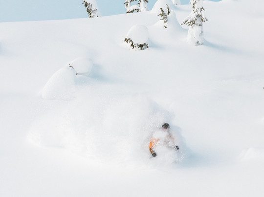 Great Bear Heli Skiing-Bella Coola必去景点