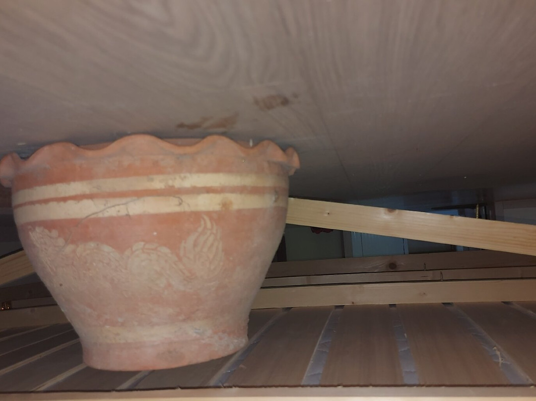 Jungle View Resort主图