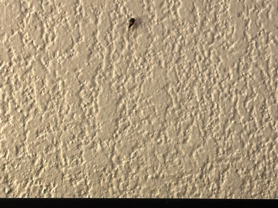 Fairfield by Marriott Inn & Suites Jackson Airport主图