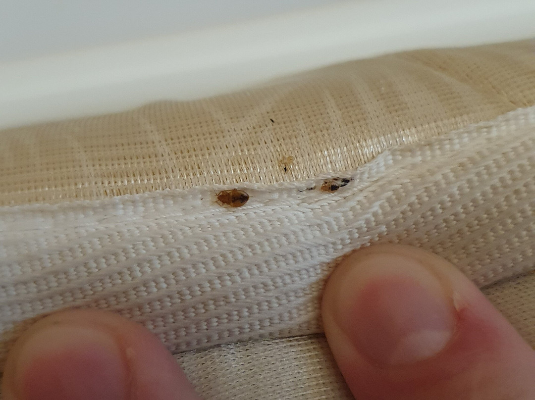 杰里恩1918酒店主图