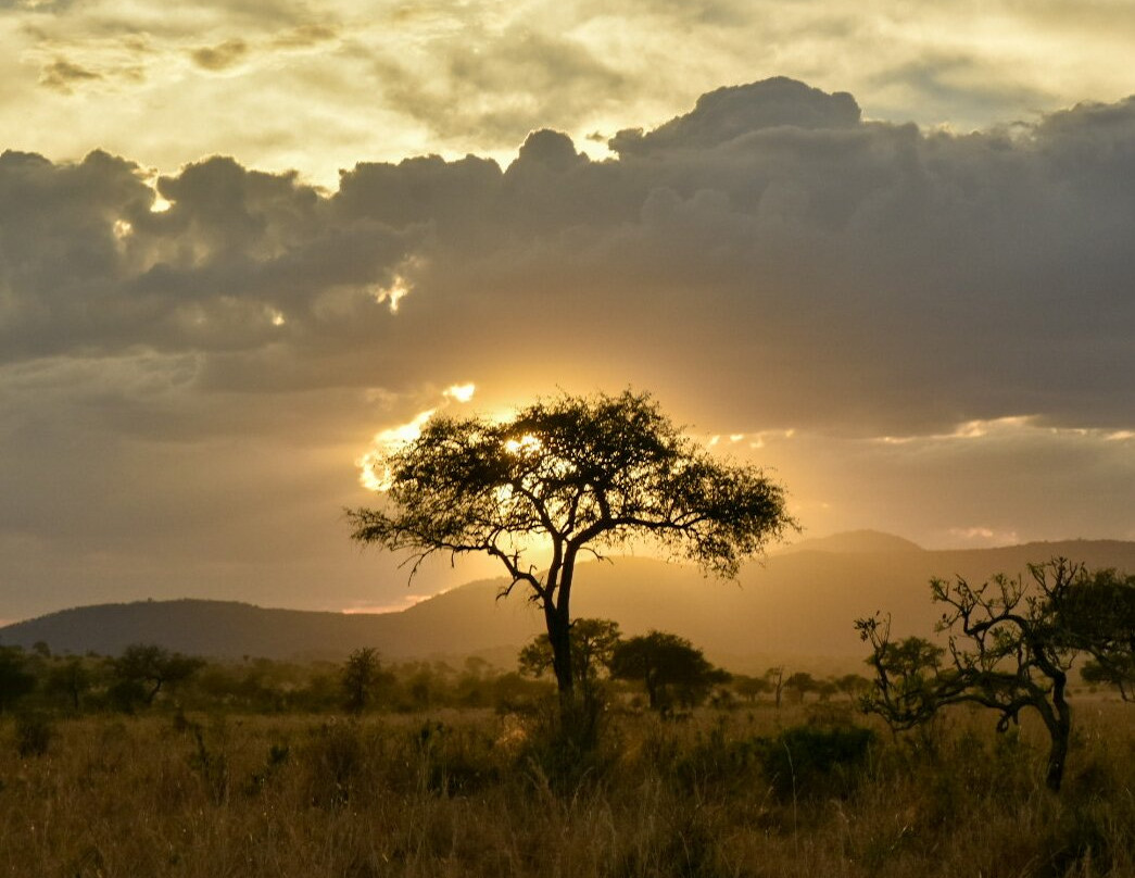 Destination Nomad Africa-Karamoja tours景点图片