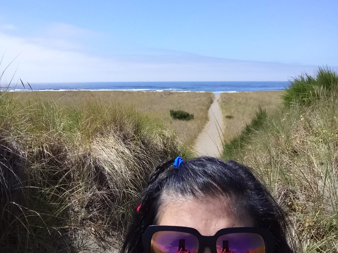 Twin Harbors Beach State Park景点图片