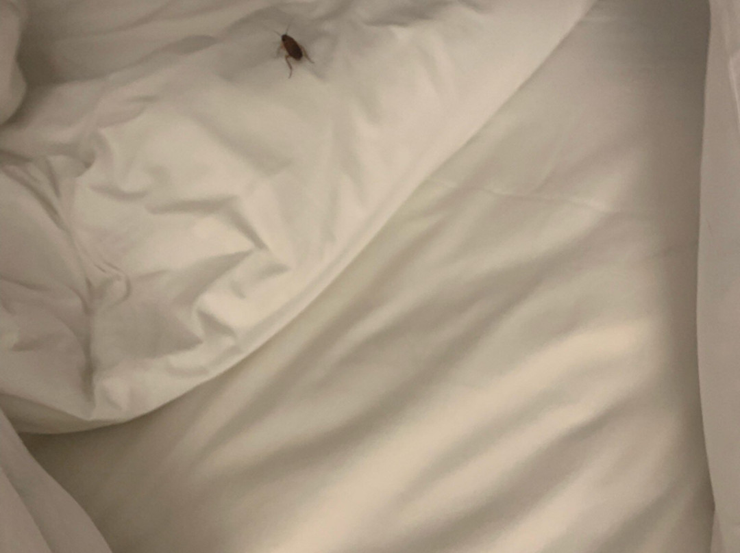 Quality Inn & Suites Civic Center主图