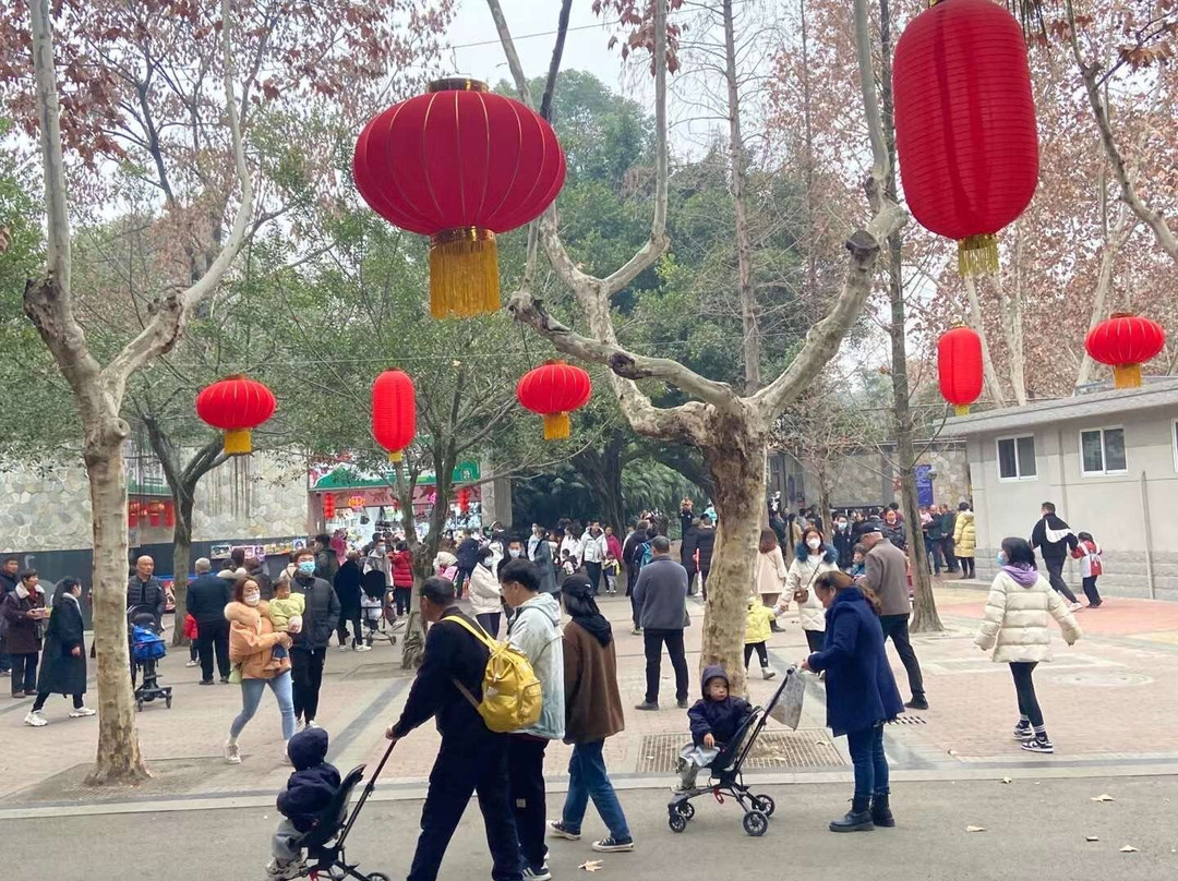 成都动物园-成都必去景点