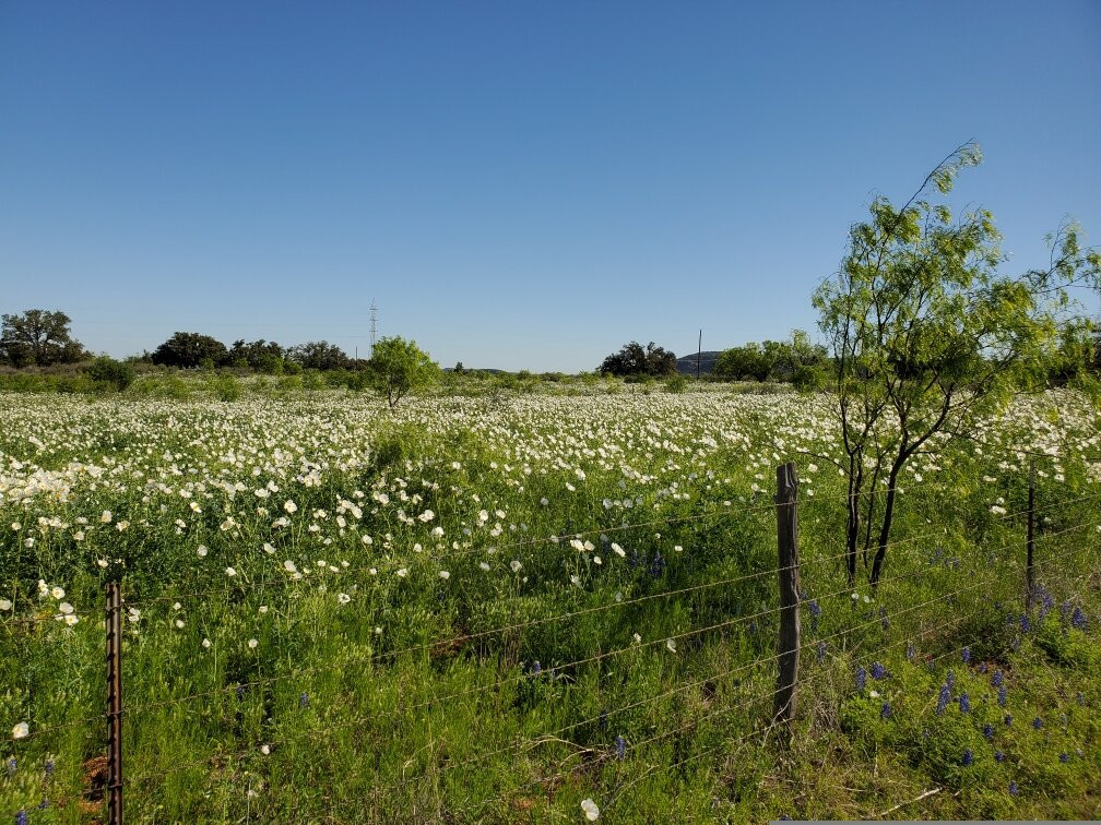 Willow City Loop-弗雷德里克斯堡必去景点