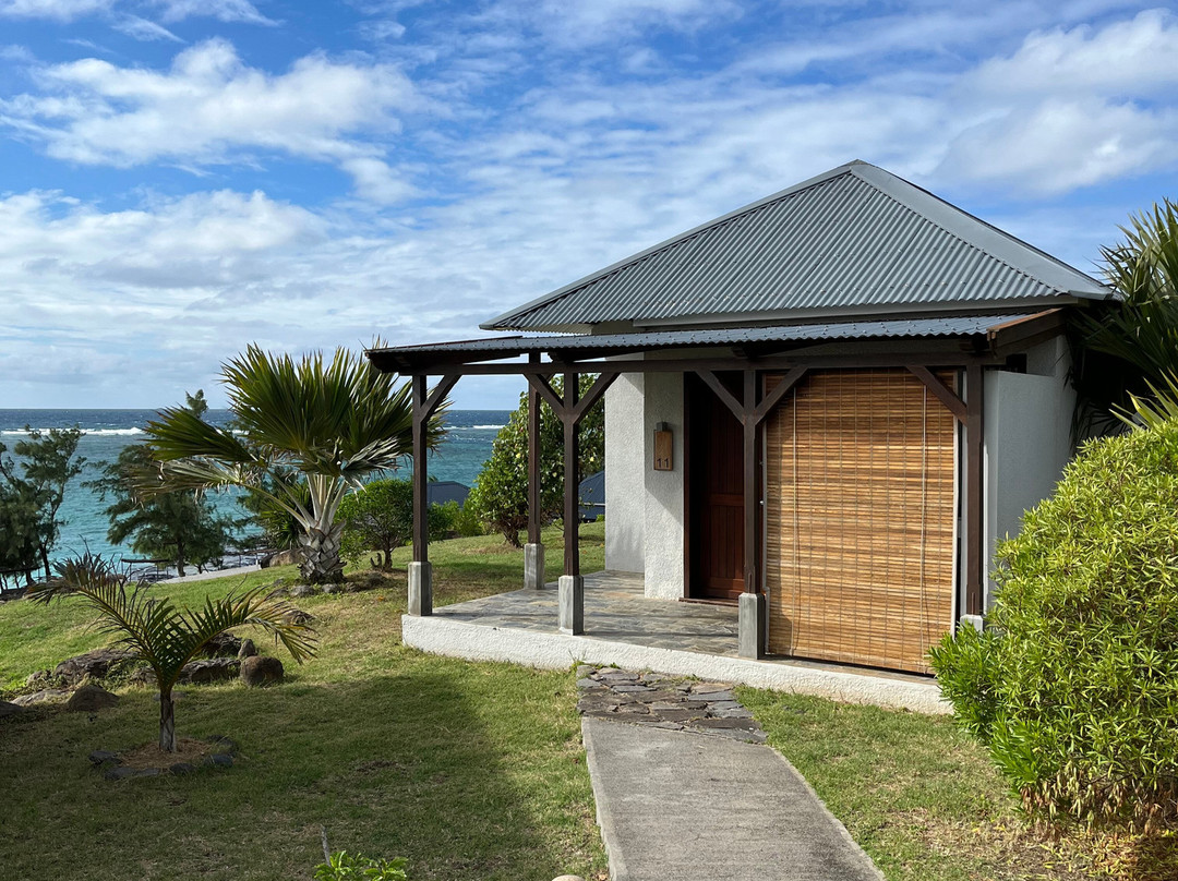 Constance Tekoma主图