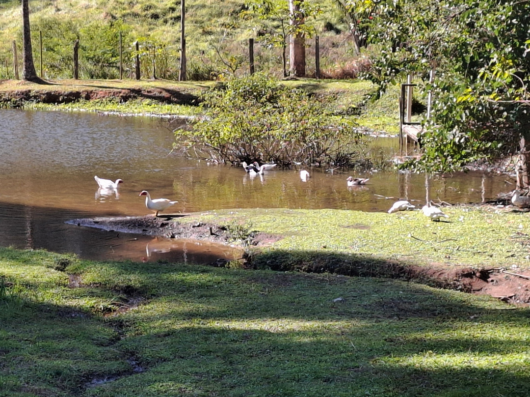 Eco Pousada Rancho Eldorado主图