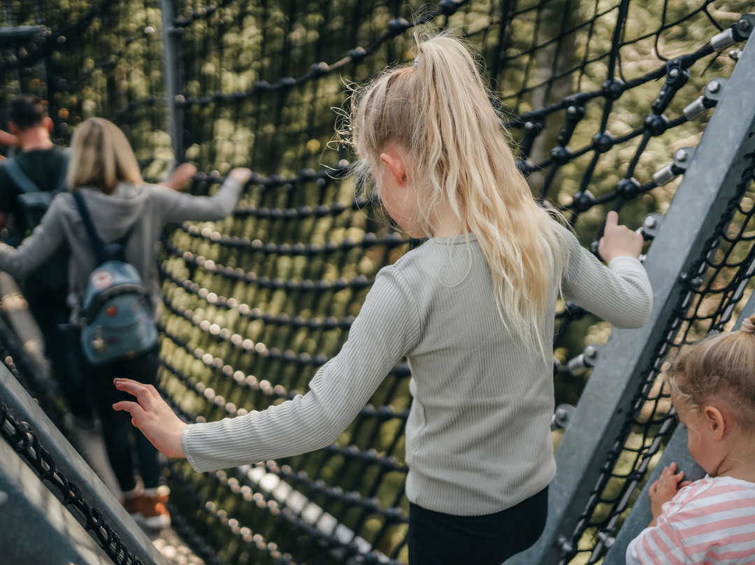 Waldwelt Skywalk Allgäu-Scheidegg必去景点