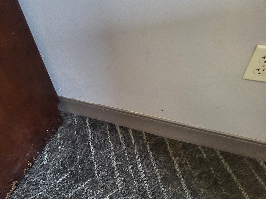 Hilton Garden Inn Waldorf主图