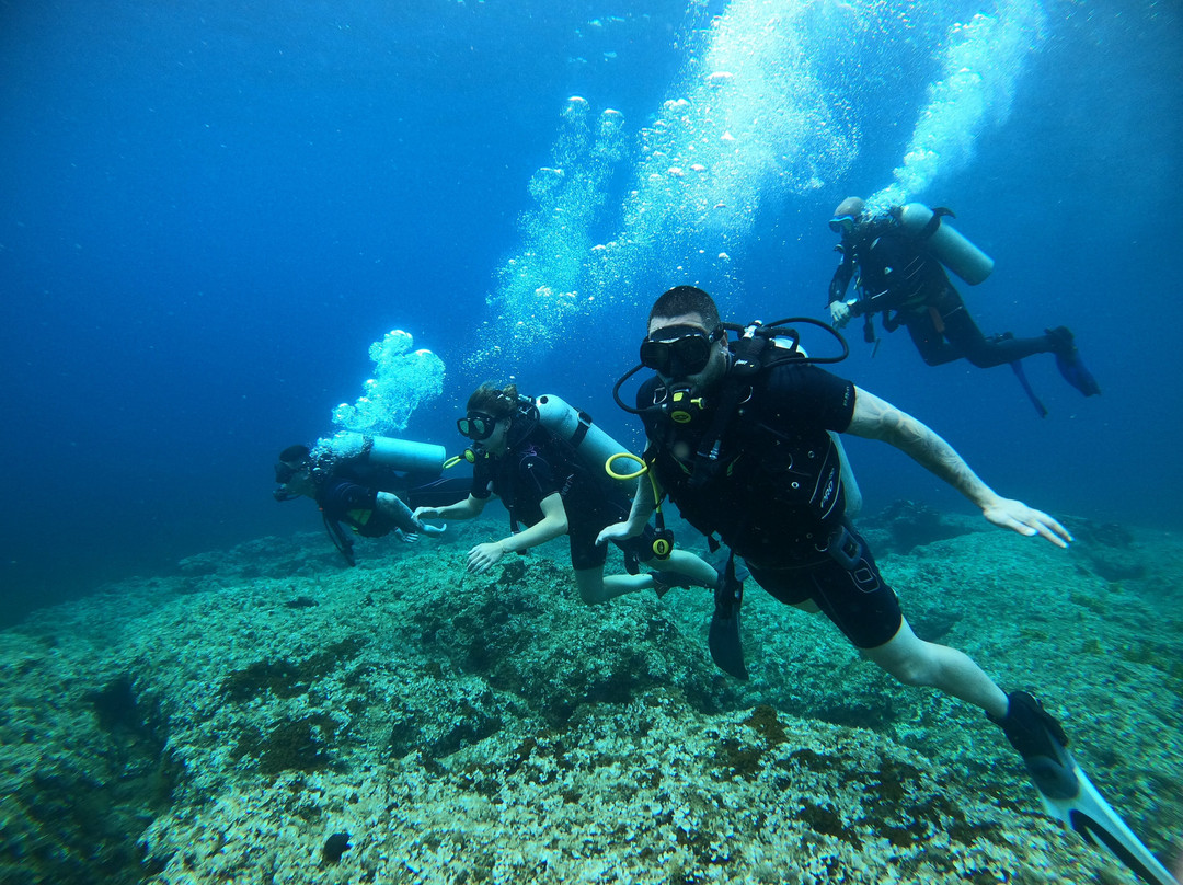 Diving Center Sredetz景点图片